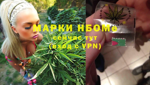 ешки Горняк