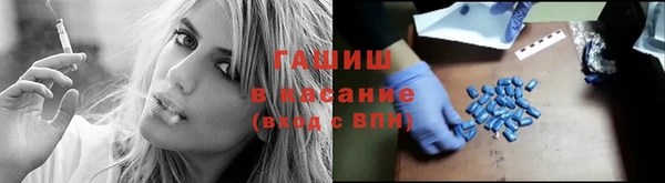 прущие грибы Няндома