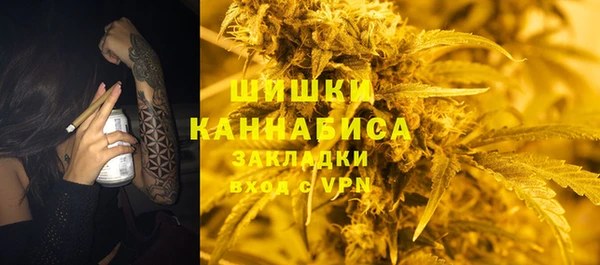 хмурый Бронницы