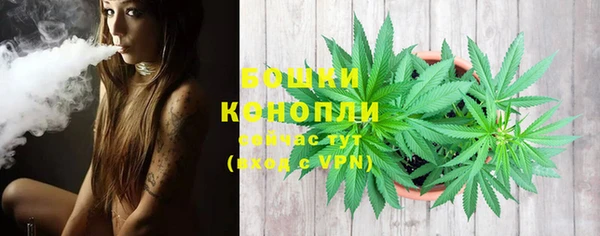 дурь Нягань